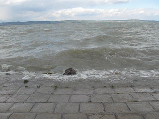 Lake Balaton in Windstorm