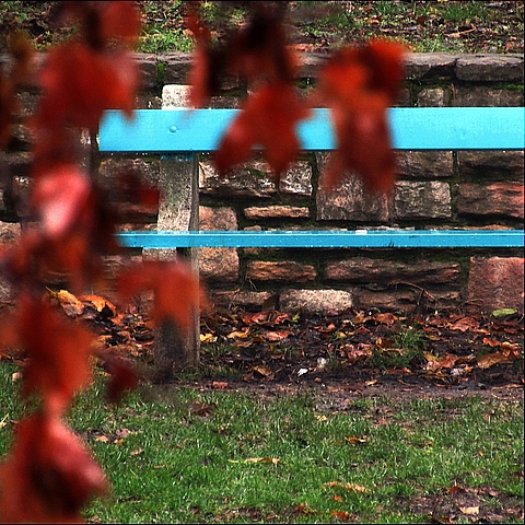 Rainy Day - Late Autumn